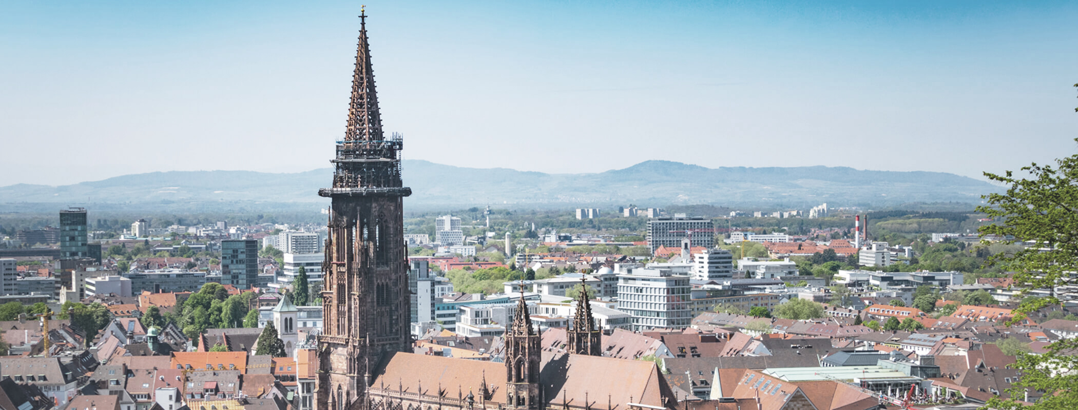 Grub Brugger Freiburg Grub Brugger Freiburg